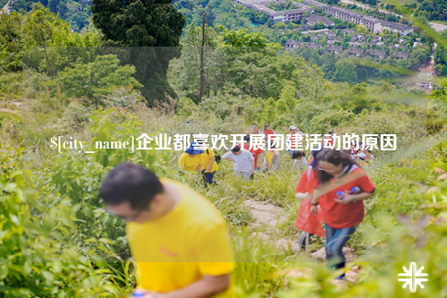 中卫企业都喜欢开展团建活动的原因
